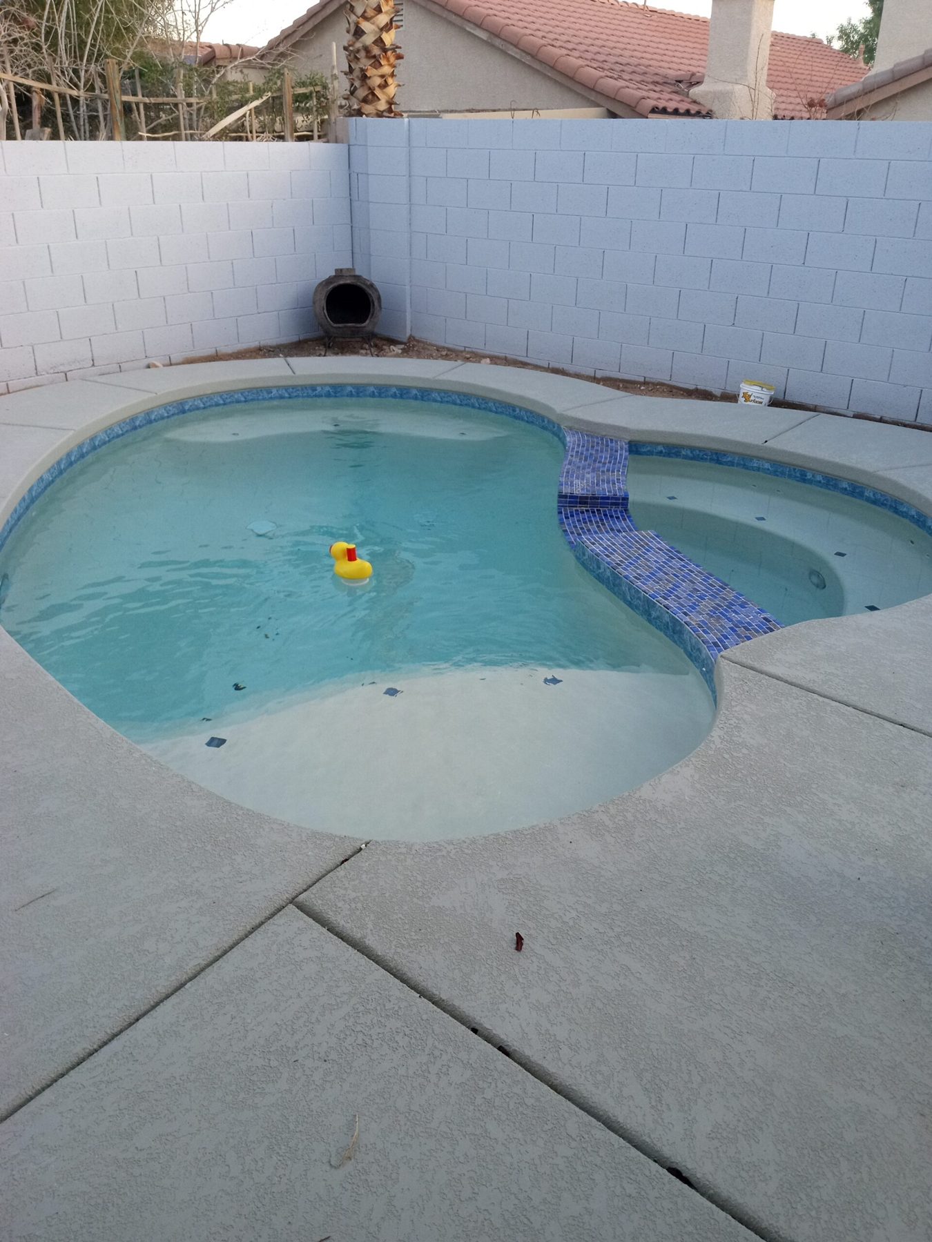 Puddle Paradise — custom pool by Clarity Custom Pools